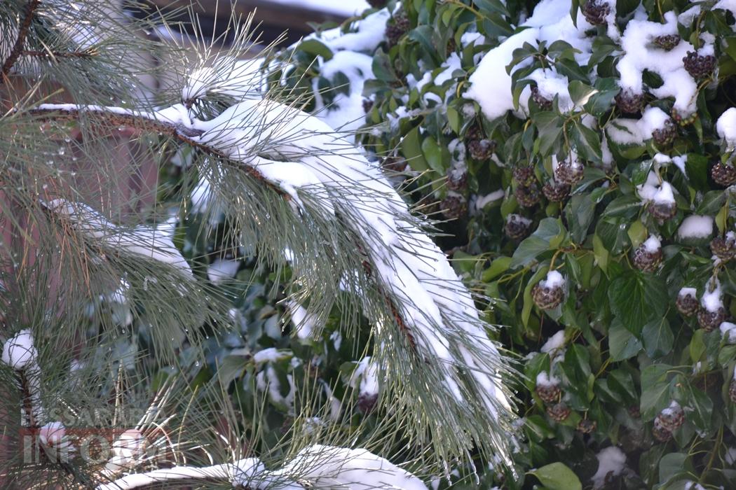 Снігова казка полонила Бессарабію - великий фоторепортаж