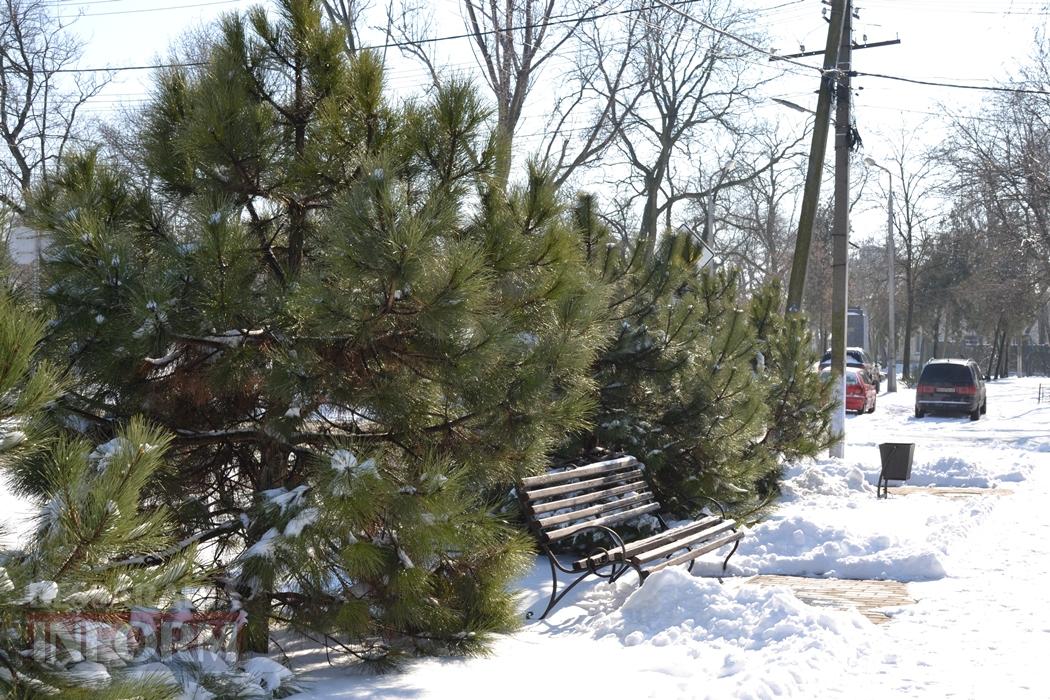 Снігова казка полонила Бессарабію - великий фоторепортаж