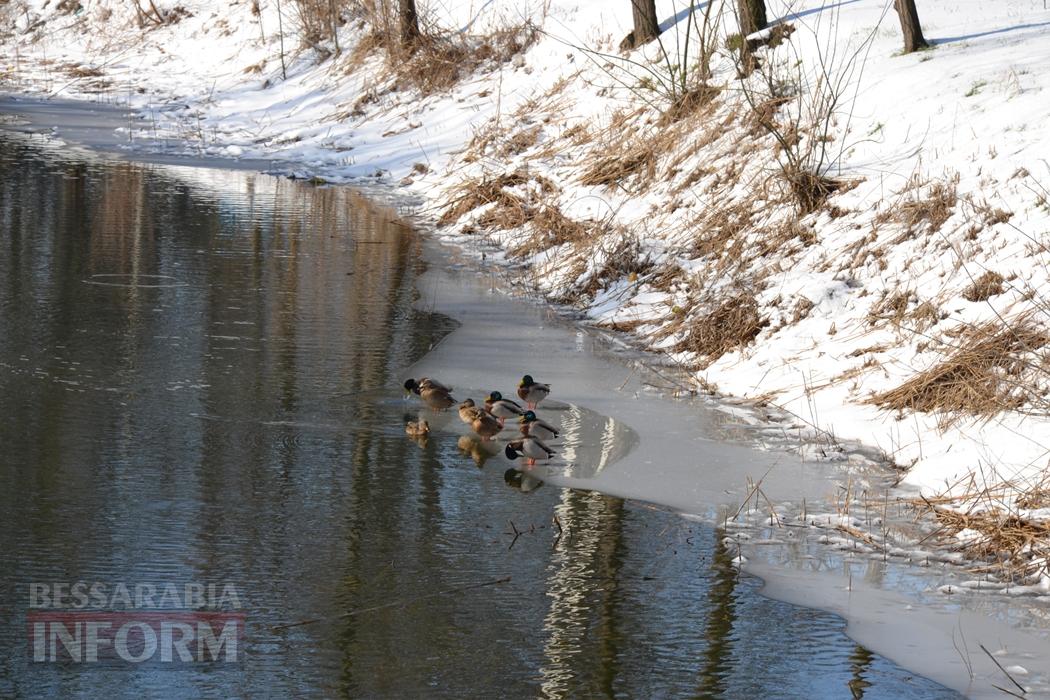 Снігова казка полонила Бессарабію - великий фоторепортаж