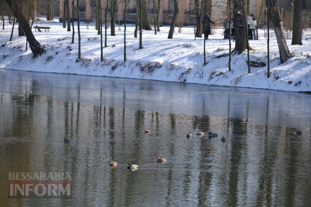 Снігова казка полонила Бессарабію - великий фоторепортаж