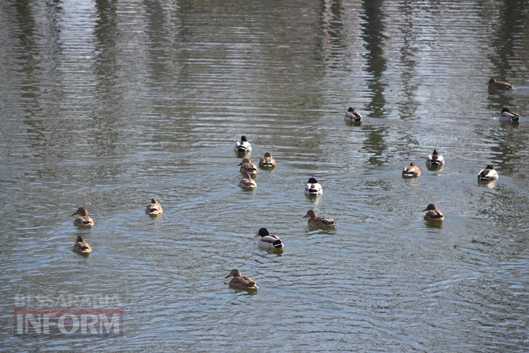 Снігова казка полонила Бессарабію - великий фоторепортаж