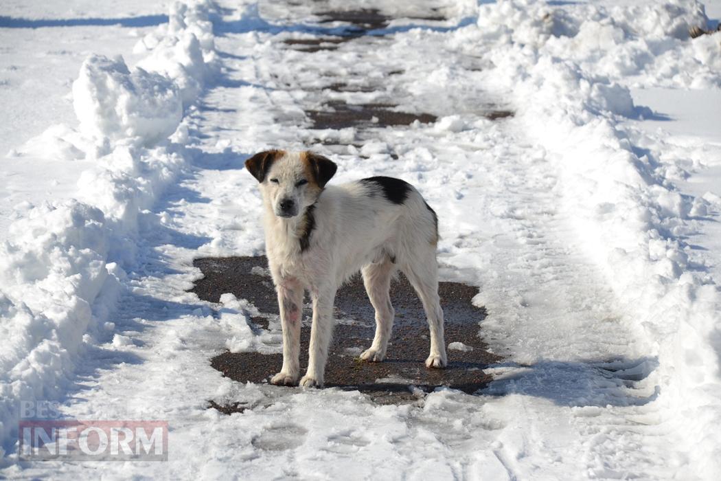 Снігова казка полонила Бессарабію - великий фоторепортаж