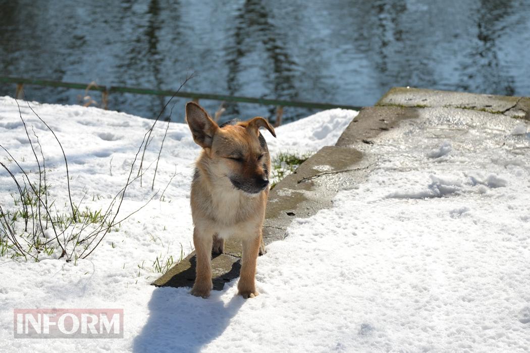 Снігова казка полонила Бессарабію - великий фоторепортаж