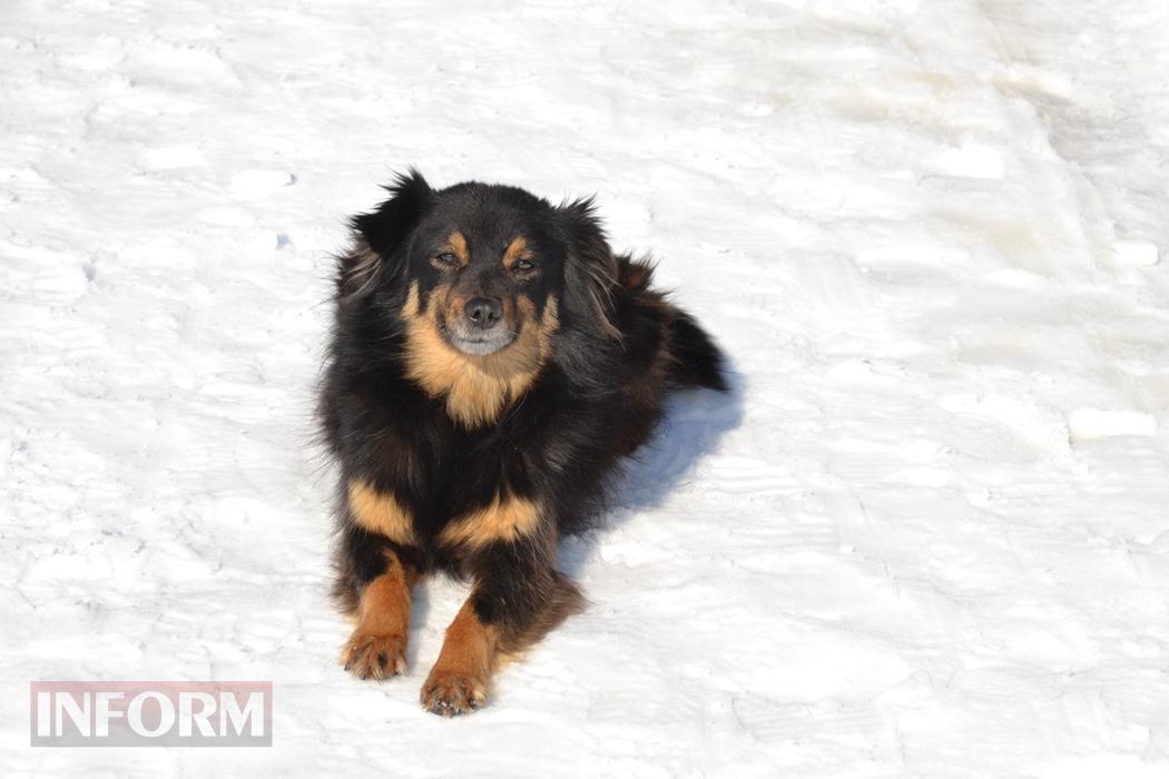 Снігова казка полонила Бессарабію - великий фоторепортаж