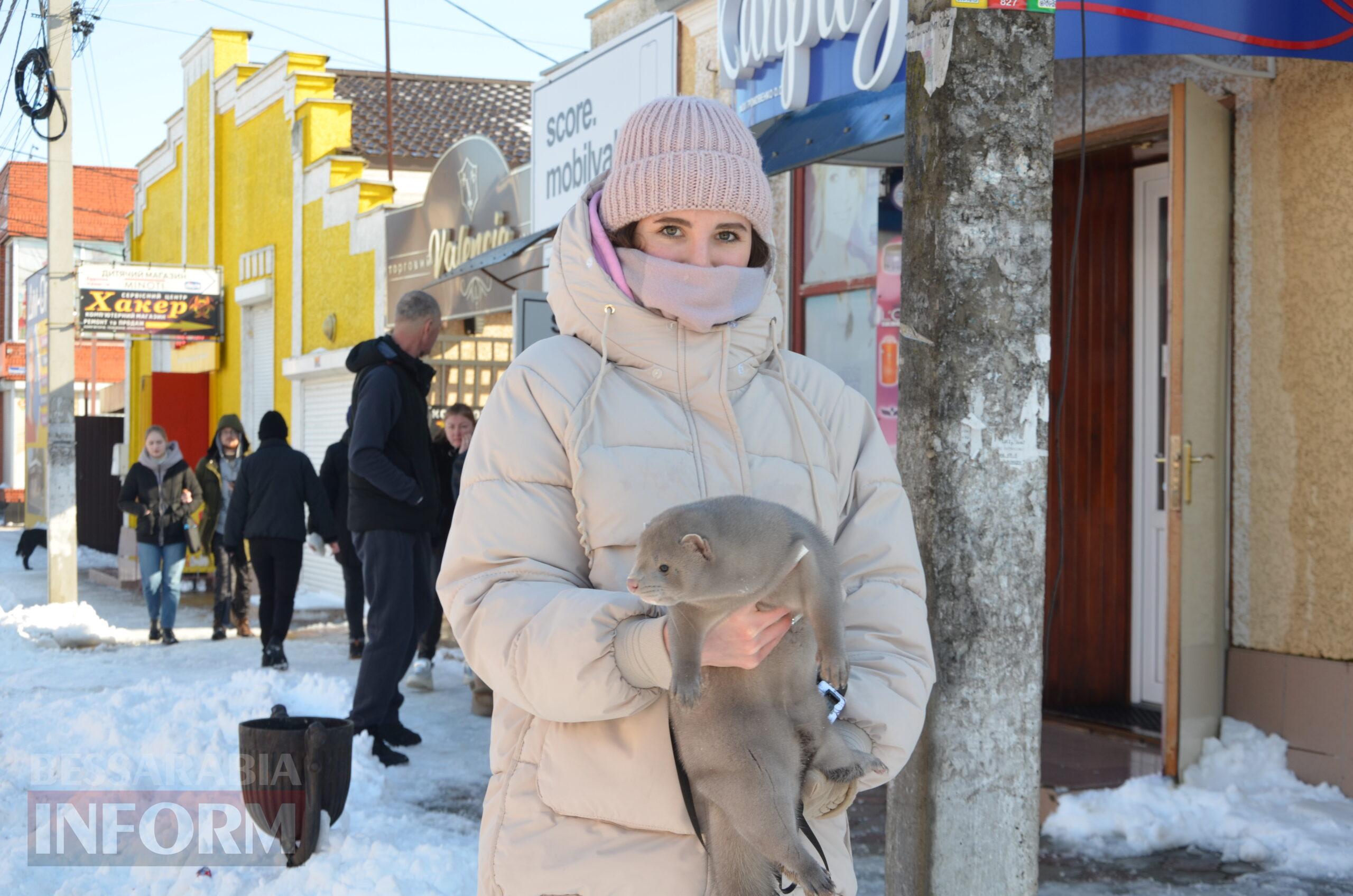 Снігова казка полонила Бессарабію - великий фоторепортаж