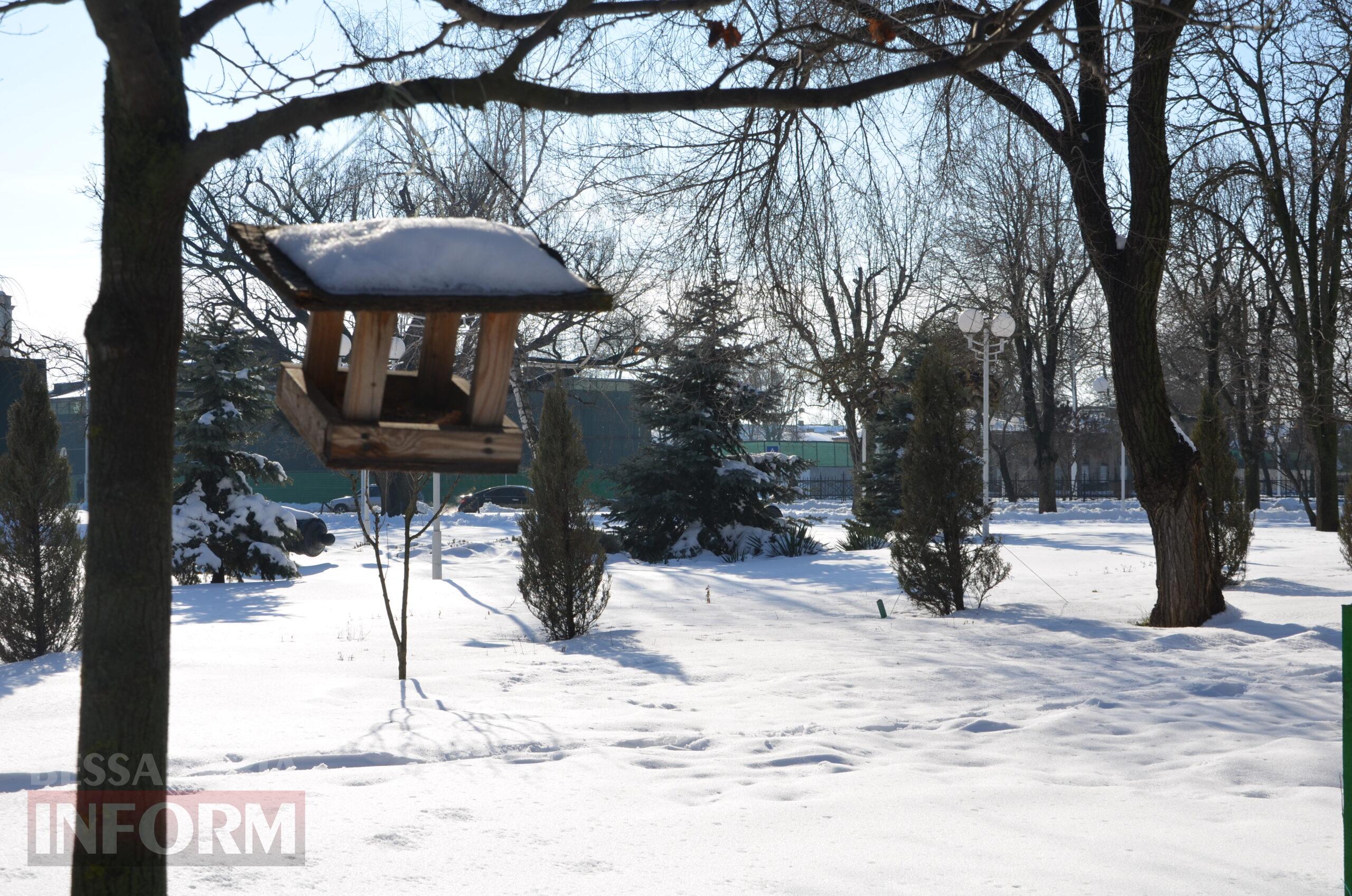 Снігова казка полонила Бессарабію - великий фоторепортаж