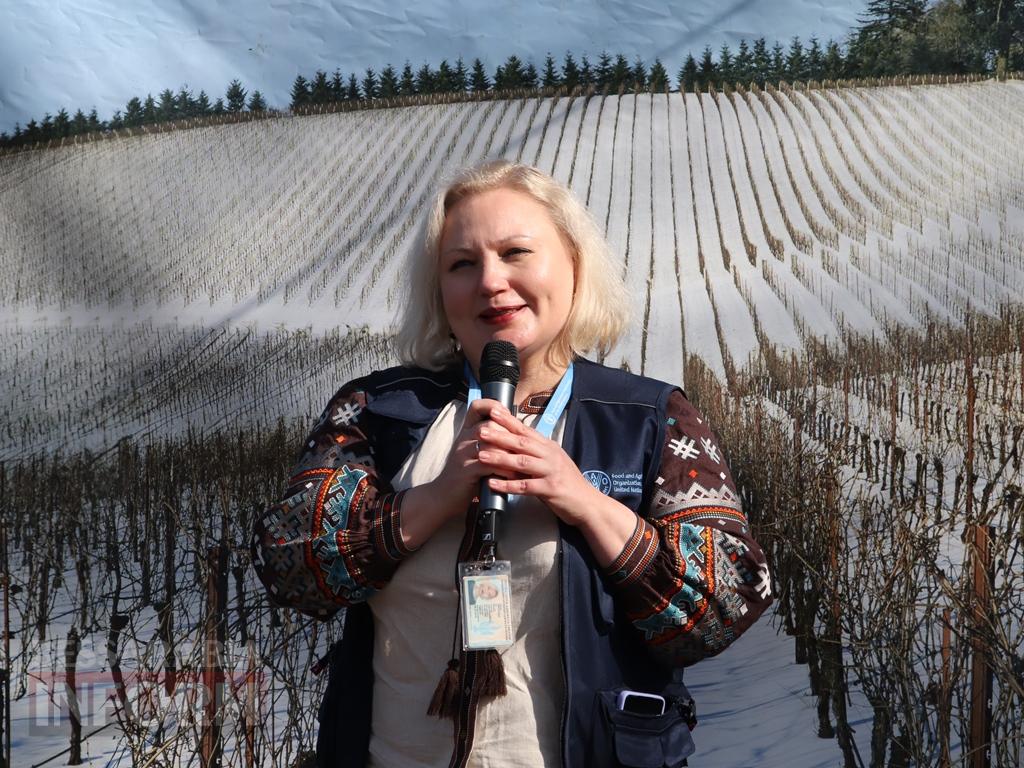 Свято з бессарабським характером і українським серцем: в Болграді відбувся фестиваль «Трифон Зарезан» на підтримку ЗСУ