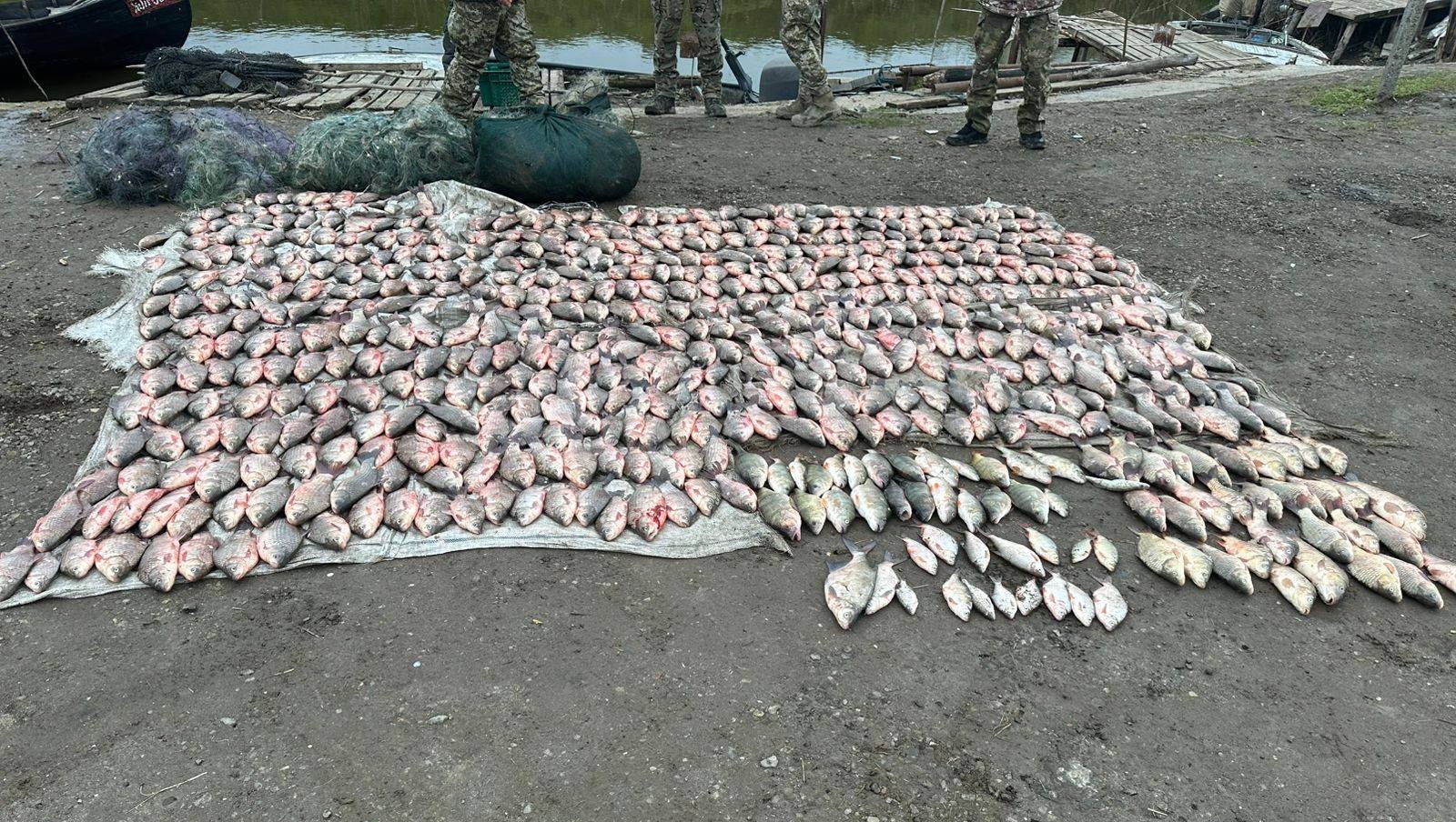 На півдні Одещини прикордонники затримали браконьєрів з уловом майже на 2,5 мільйони гривень