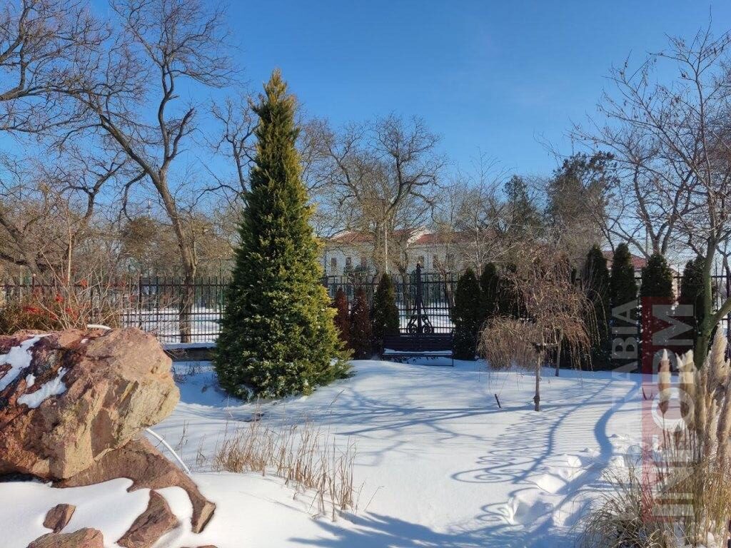 Снігова казка полонила Бессарабію - великий фоторепортаж