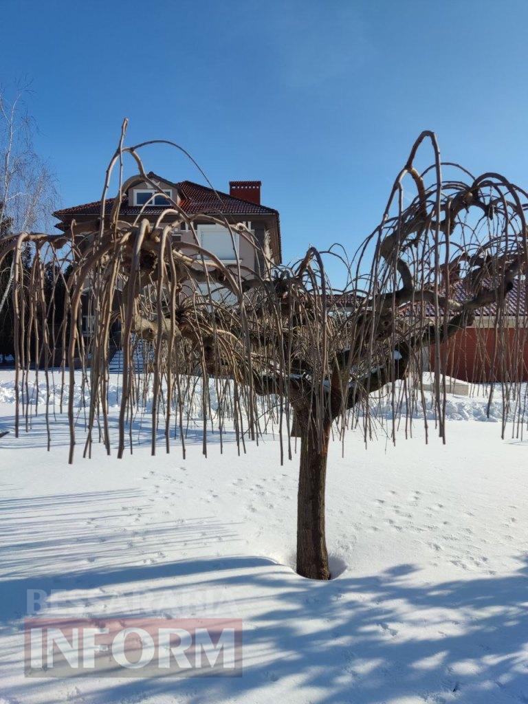 Снігова казка полонила Бессарабію - великий фоторепортаж