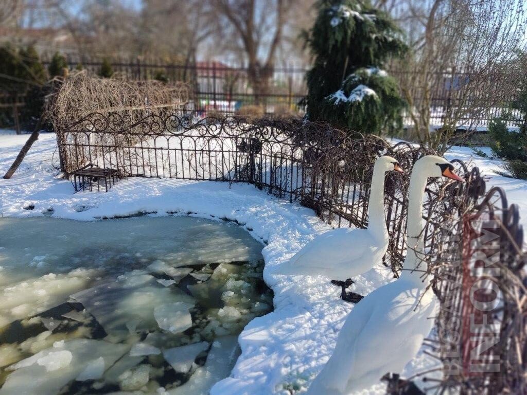 Снігова казка полонила Бессарабію - великий фоторепортаж