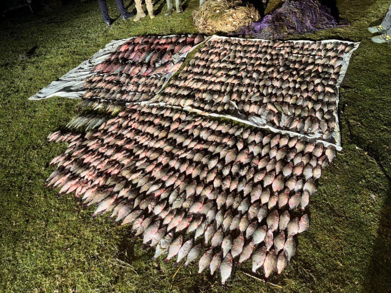 На півдні Одещини прикордонники затримали браконьєрів з уловом майже на 2,5 мільйони гривень