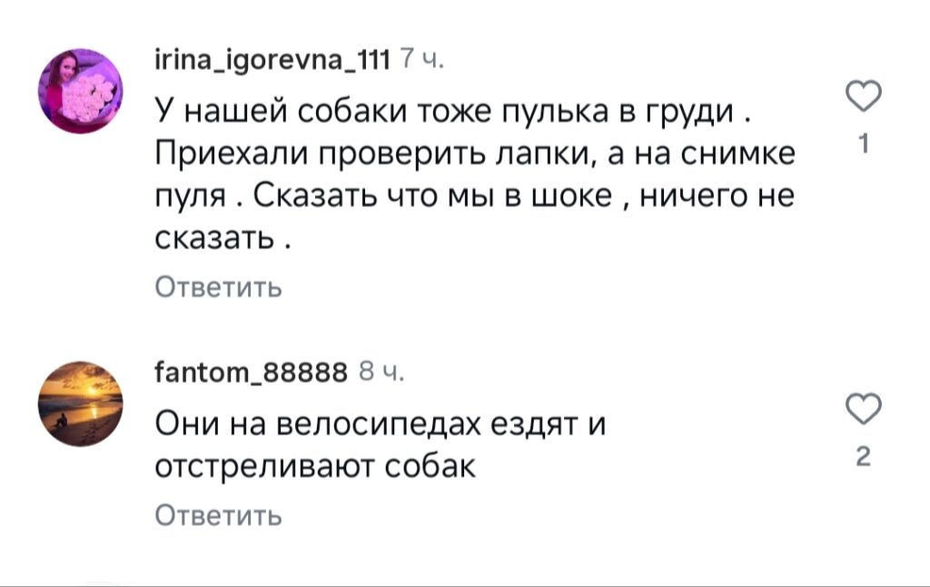 Хвиля жорстокості до тварин у Бессарабії: за що діти мстять слабшим — від ігор «у владу» до вивороту глибоких психологічних проблем