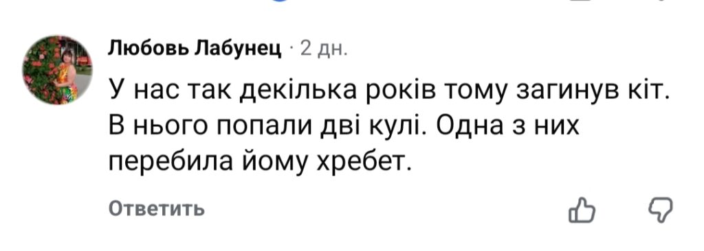 Хвиля жорстокості до тварин у Бессарабії: за що діти мстять слабшим — від ігор «у владу» до вивороту глибоких психологічних проблем