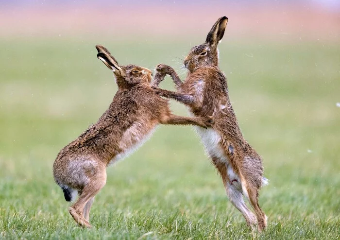 З 1 квітня в Україні стартує "сезон тиші"
