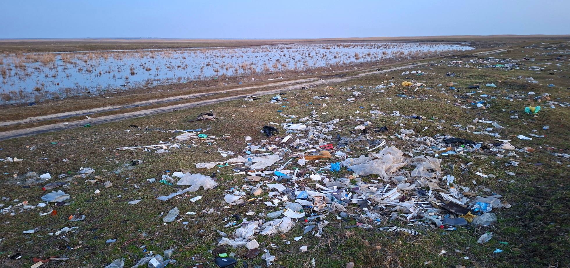 На Одещині зафіксували рідкісних рожевих пеліканів