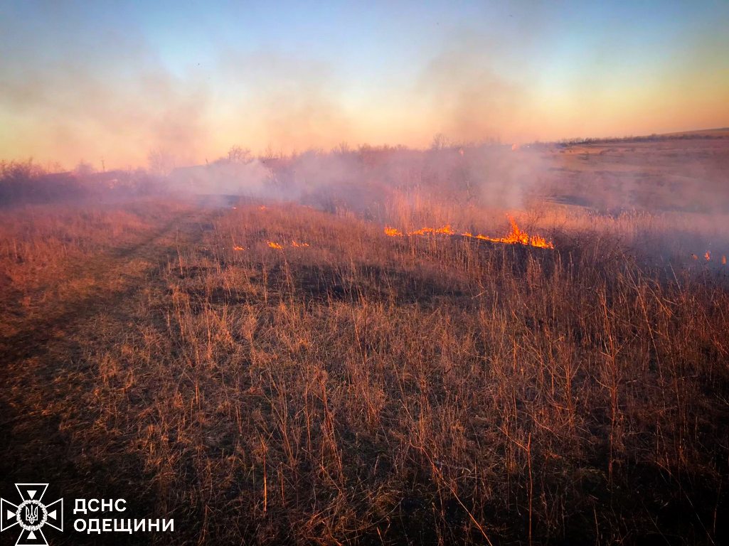 З настанням тепла на Одещині різко зросла кількість пожеж в екосистемах