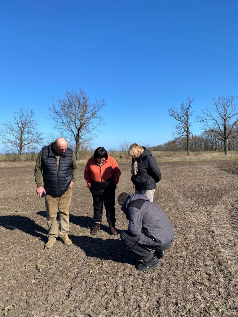 На Білгород-Дністровщині перевіряють стан озимих: що доведеться пересівати