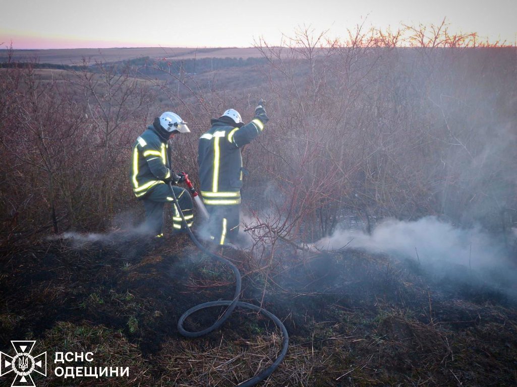 З настанням тепла на Одещині різко зросла кількість пожеж в екосистемах