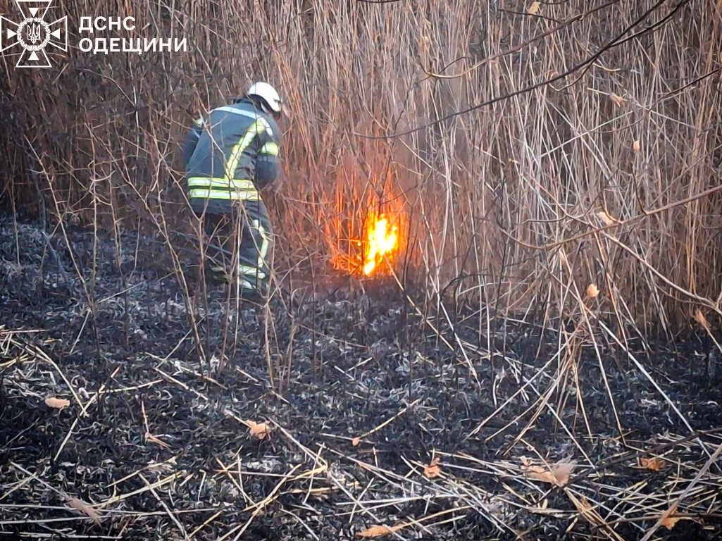 З настанням тепла на Одещині різко зросла кількість пожеж в екосистемах