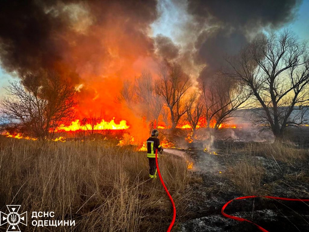 З настанням тепла на Одещині різко зросла кількість пожеж в екосистемах