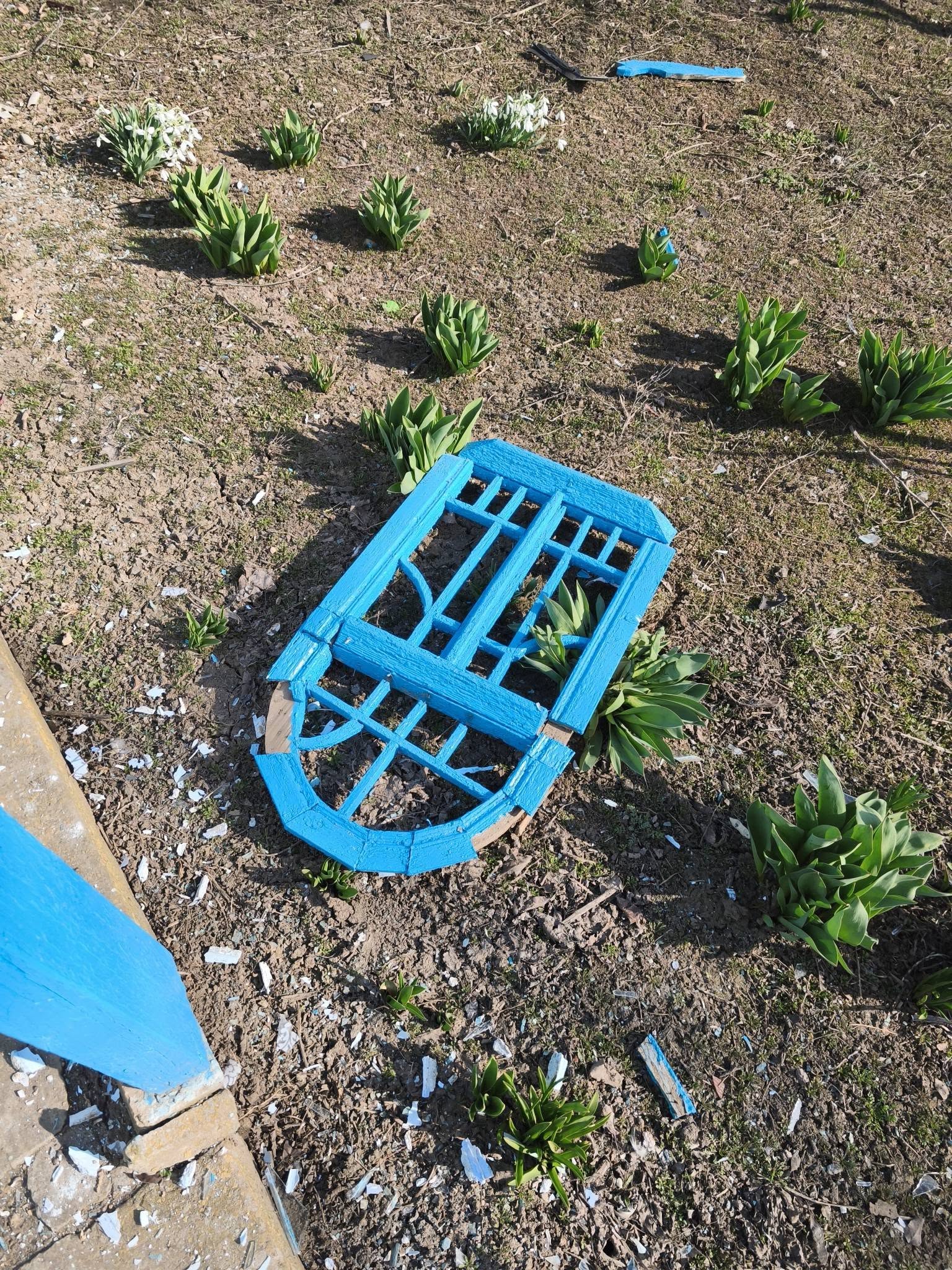 Один з шахедів вибухнув в межах міста Кілія і пошкодив декілька будинків - люди отримають допомогу