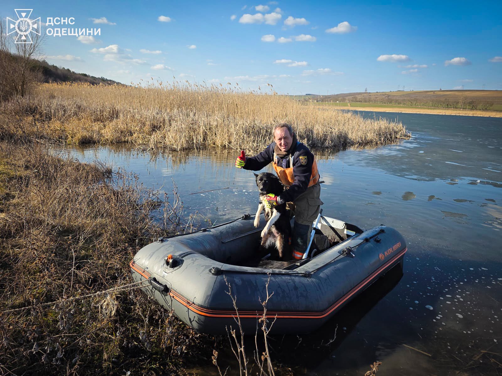Рятувальники Одещини визволили собаку з крижаної пастки