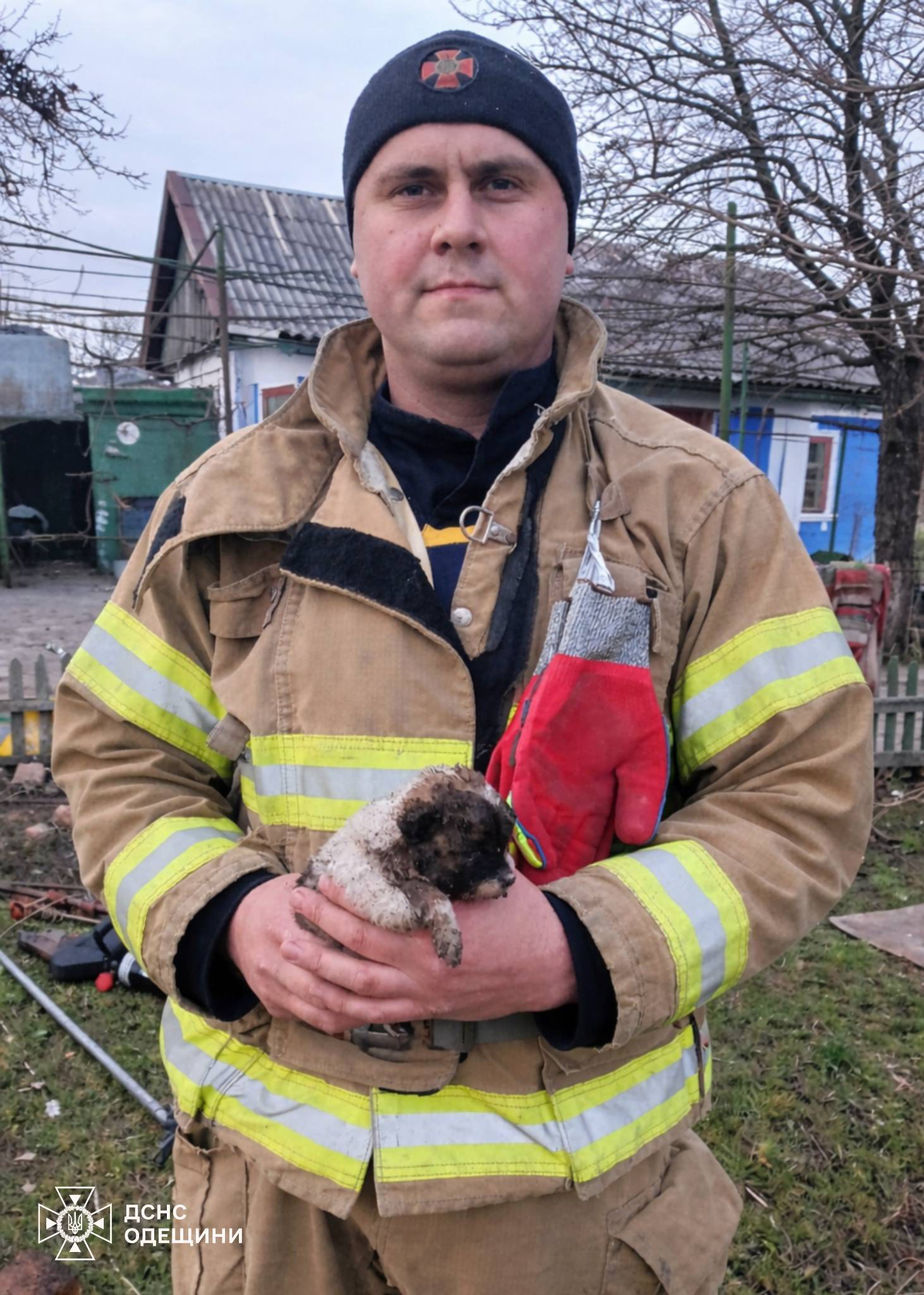 Рятувальники Одещини визволили з пастки цуценя
