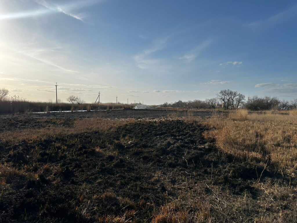 Майже 600 тисяч гривень збитків: наслідки займання очерету на Білгород-Дністровщині