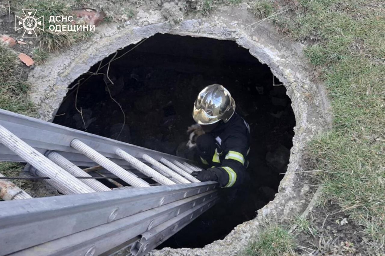 На Одещині рятувальники визволили собаку з п’ятиметрової ями