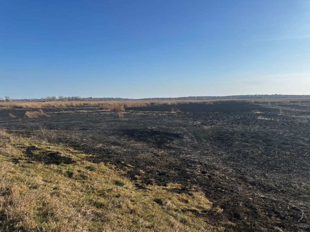 Майже 600 тисяч гривень збитків: наслідки займання очерету на Білгород-Дністровщині