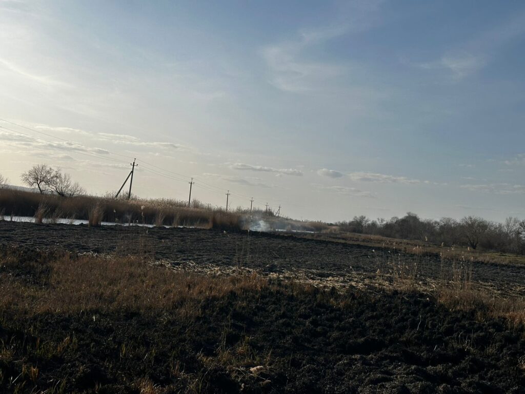 Майже 600 тисяч гривень збитків: наслідки займання очерету на Білгород-Дністровщині