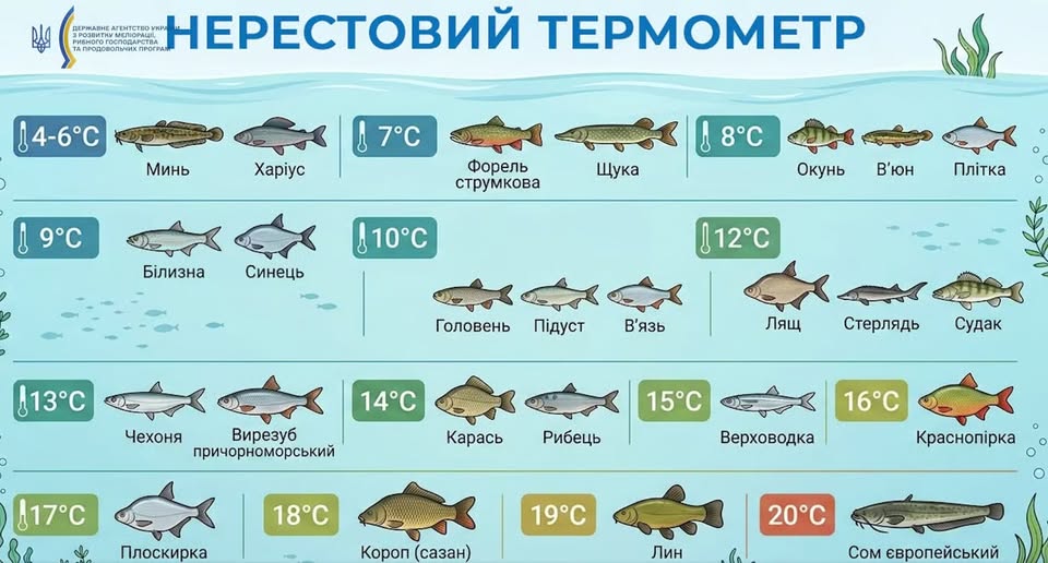 З 1 квітня в Україні стартують нові обмеження для рибалок
