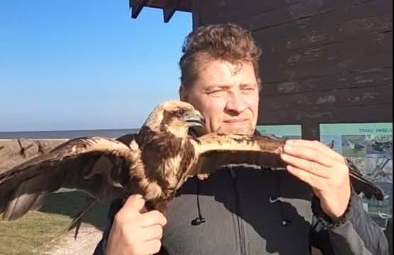 Врятованого в Ізмаїлі володаря неба випустили в дику природу