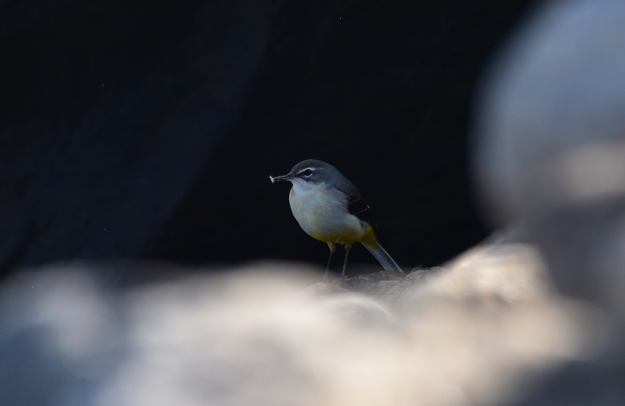 На півдні Одещини може зникнути ще одна річка