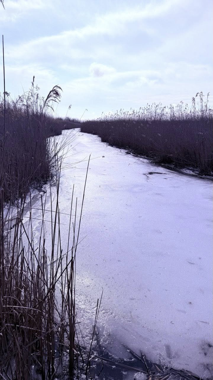На Одещині помітили сліди рідкісного червонокнижного хижака