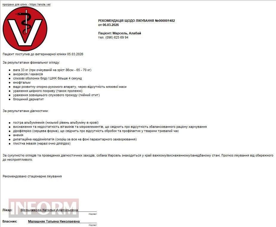 У Рені священник довів до анорексії "агресивного" алабая, якого боявся годувати