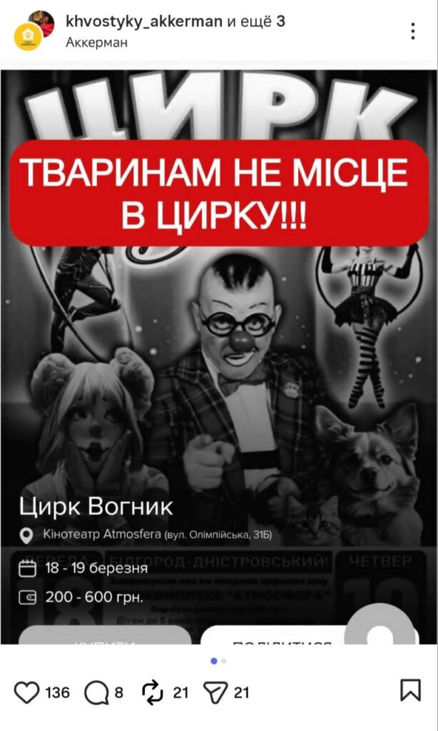 До Аккермана їде цирк з дресированими котами, собаками та поні: яскраве шоу чи підтримка рабства?