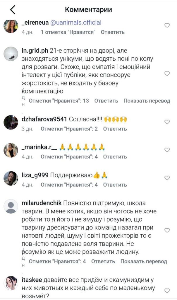 До Аккермана їде цирк з дресированими котами, собаками та поні: яскраве шоу чи підтримка рабства?