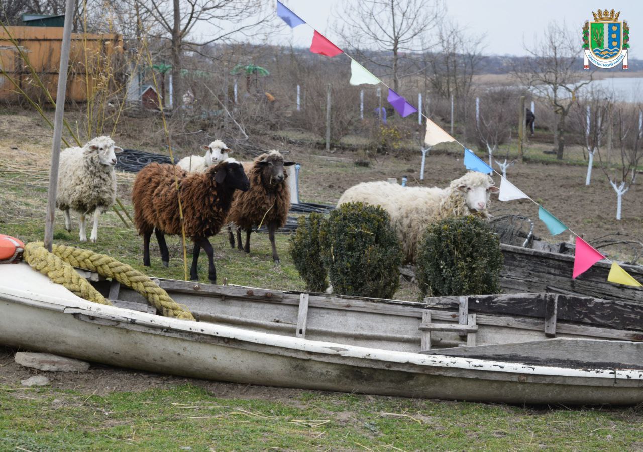 На равликовій фермі Ізмаїльського району планують відкрити контактний зоопарк
