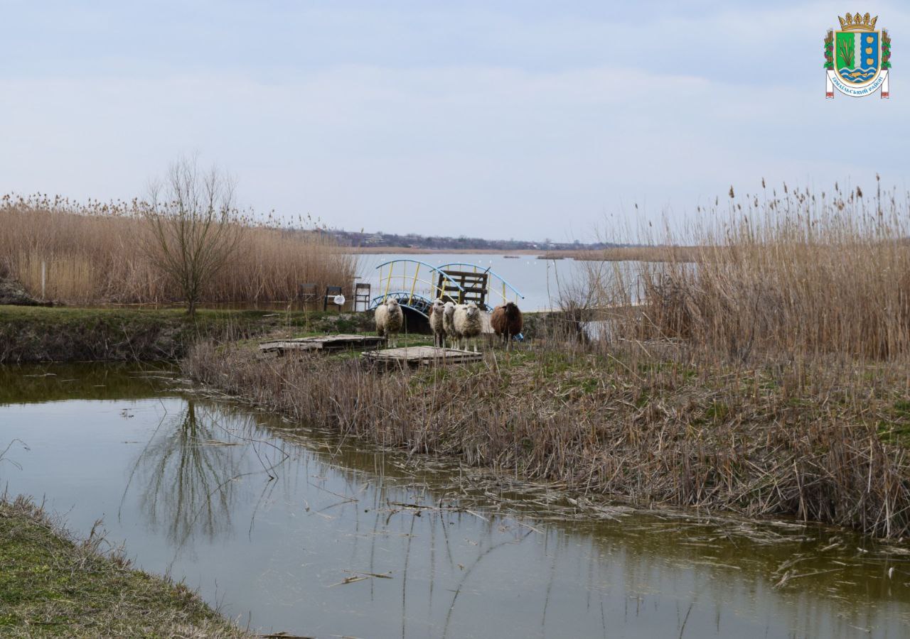 На равликовій фермі Ізмаїльського району планують відкрити контактний зоопарк
