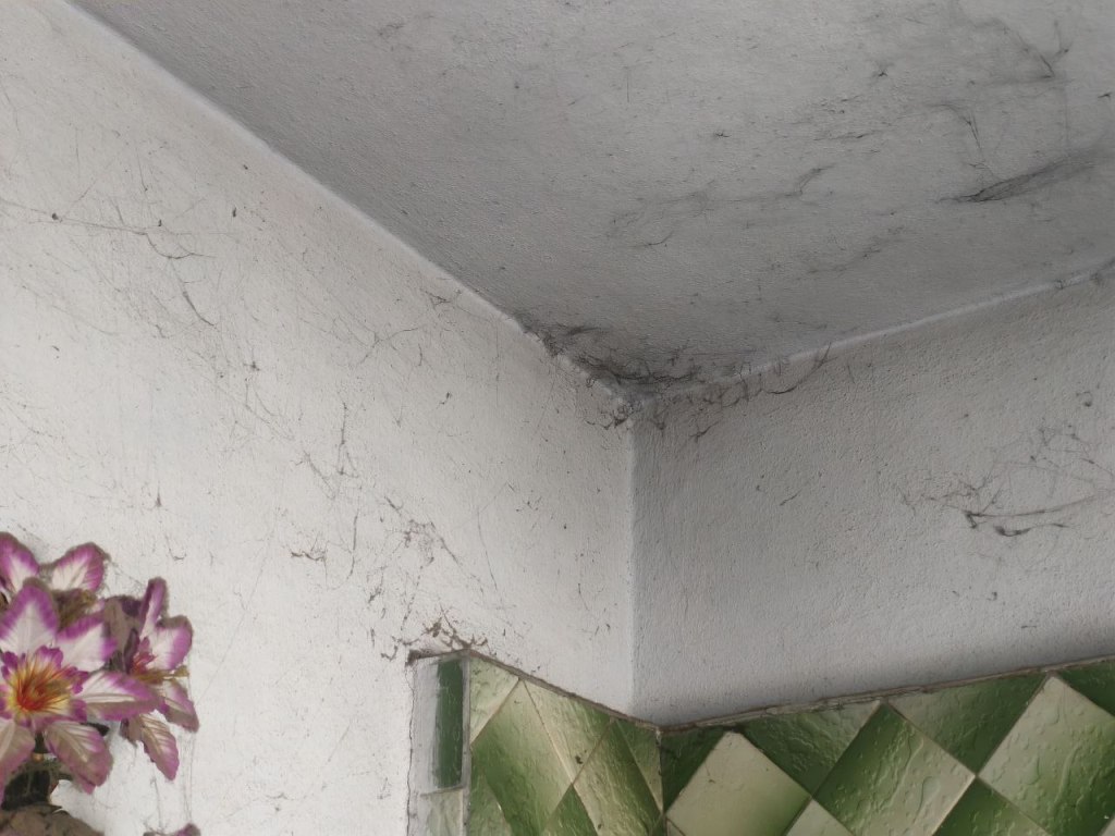 У Кілії внаслідок отруєння чадним газом загинули дві жінки. Оновлено