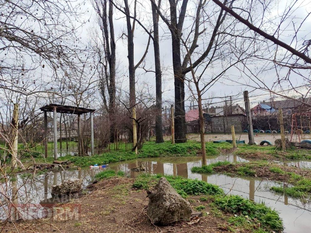 «Ми не можемо відчинити вікна!»: у провулку Франка в Аккермані через несправний колектор каналізація підступає до під’їздів