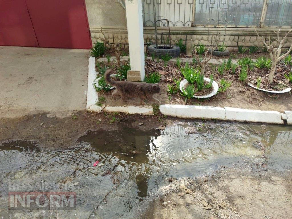 «Ми не можемо відчинити вікна!»: у провулку Франка в Аккермані через несправний колектор каналізація підступає до під’їздів