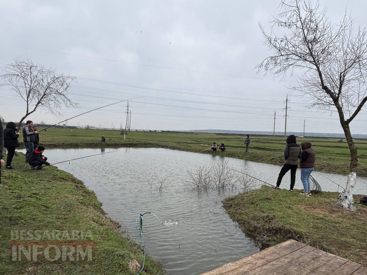 Ретро-техніка, силачі та частування: на Арцизькому кінному дворі пройшов масштабний ярмарок