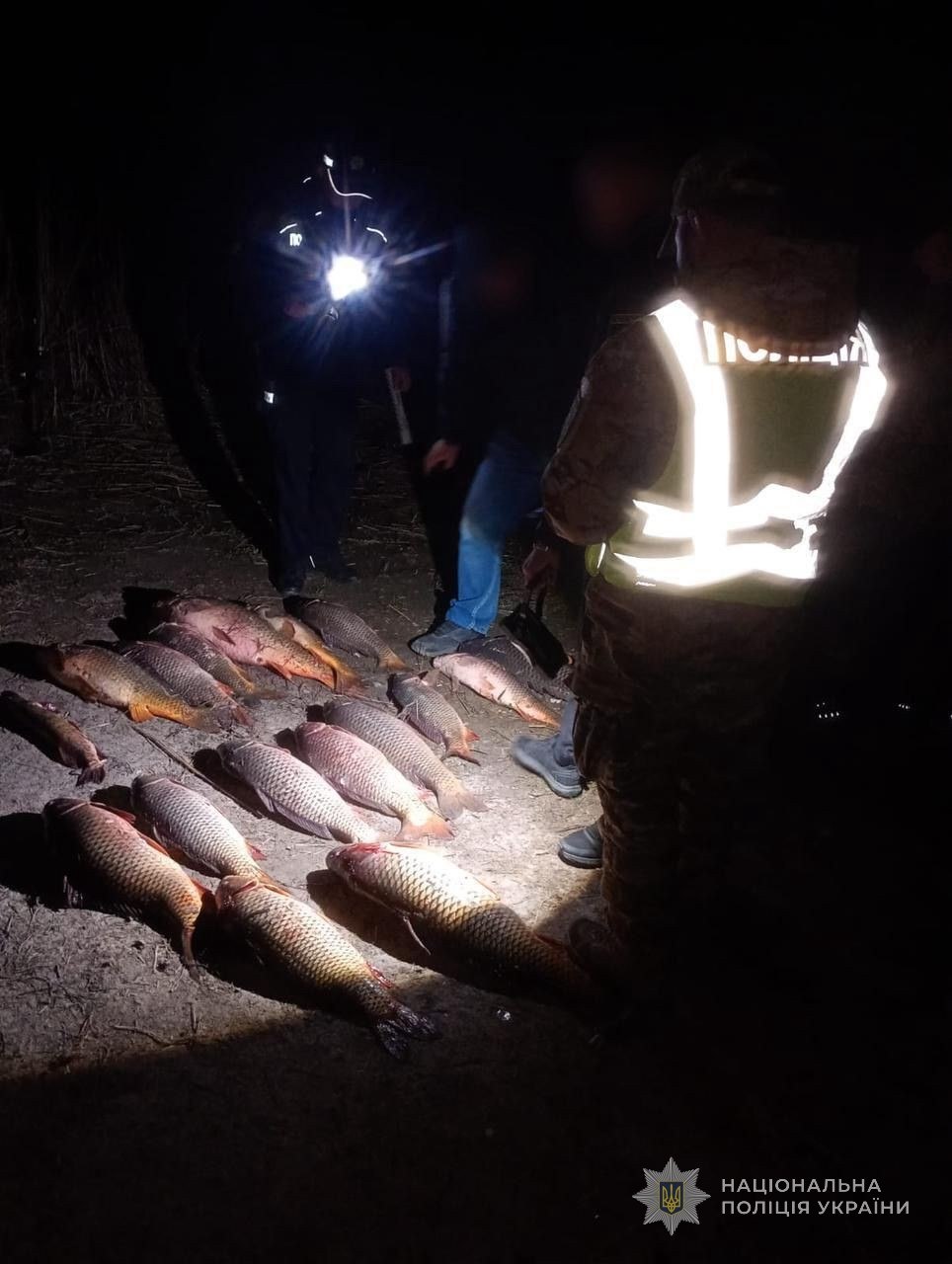 Викрито двох браконьєрів на річці Дністер: державі завдано збитків на понад 700 тисяч гривень