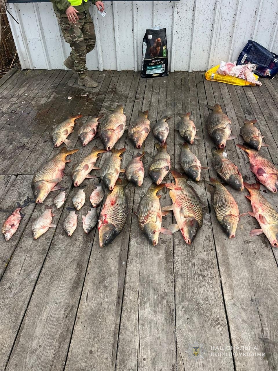 Викрито двох браконьєрів на річці Дністер: державі завдано збитків на понад 700 тисяч гривень