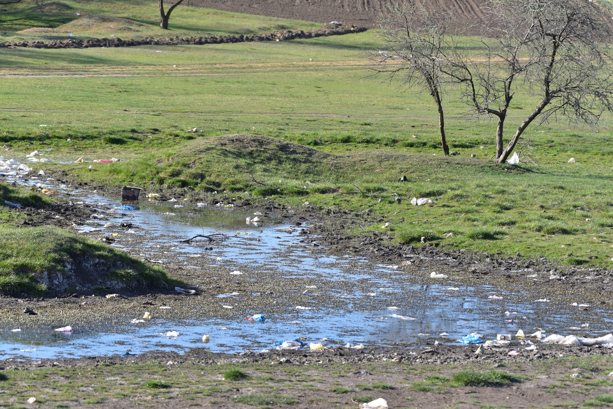 На півдні Одещини може зникнути ще одна річка