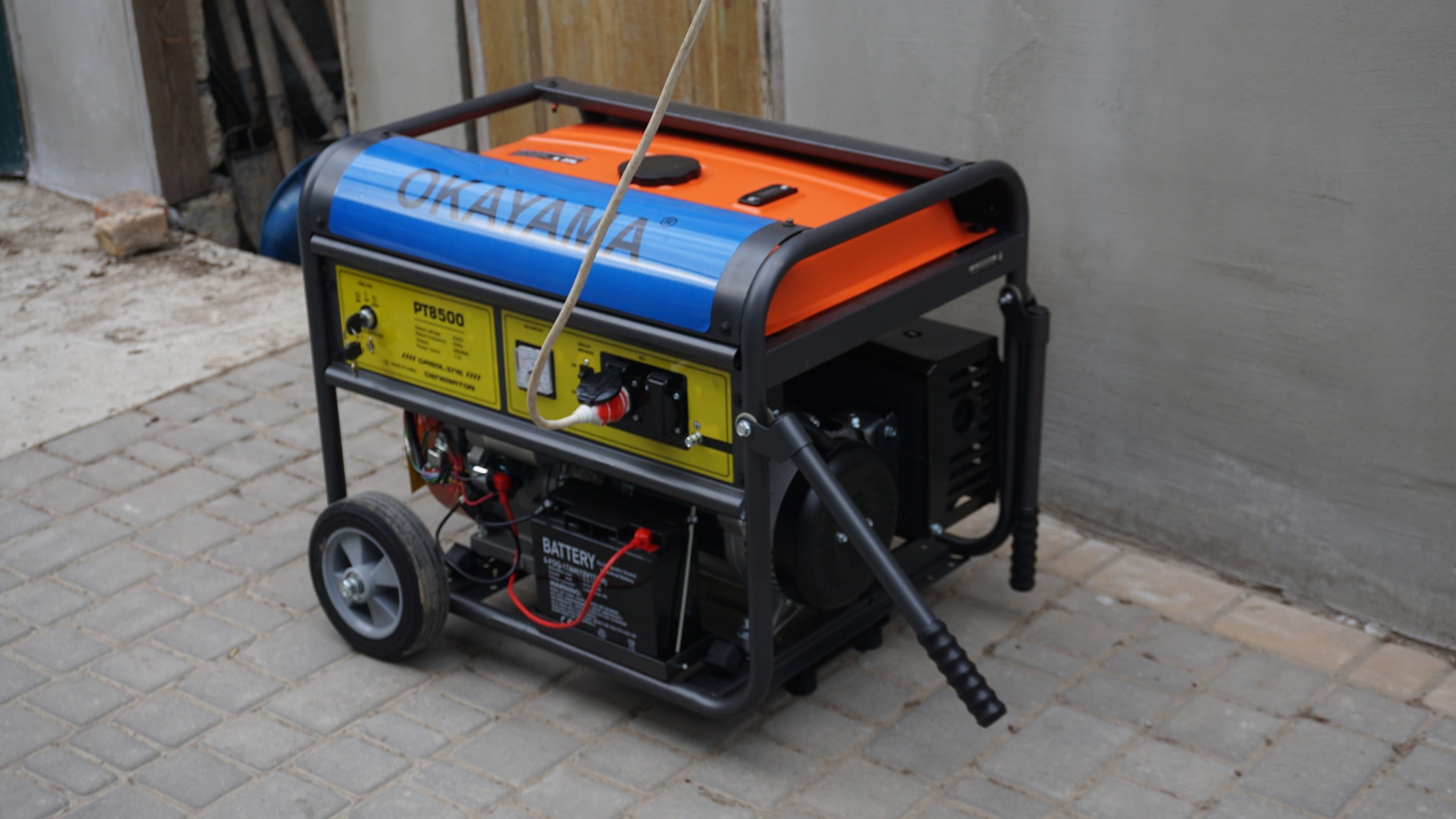 У селі Білгород-Дністровського району жінка після інфаркту завдяки гранту зміцнила своє господарство