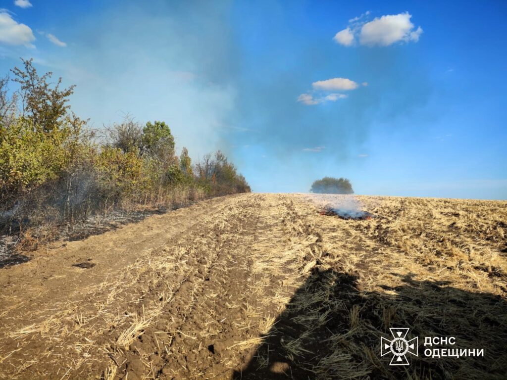 Збитки від пожеж в Одеській області за тиждень перевищили сім мільйонів